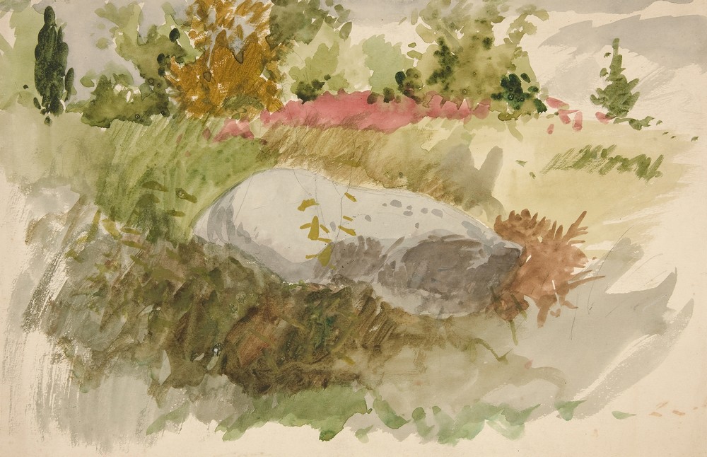 Rocks and Shrubs
