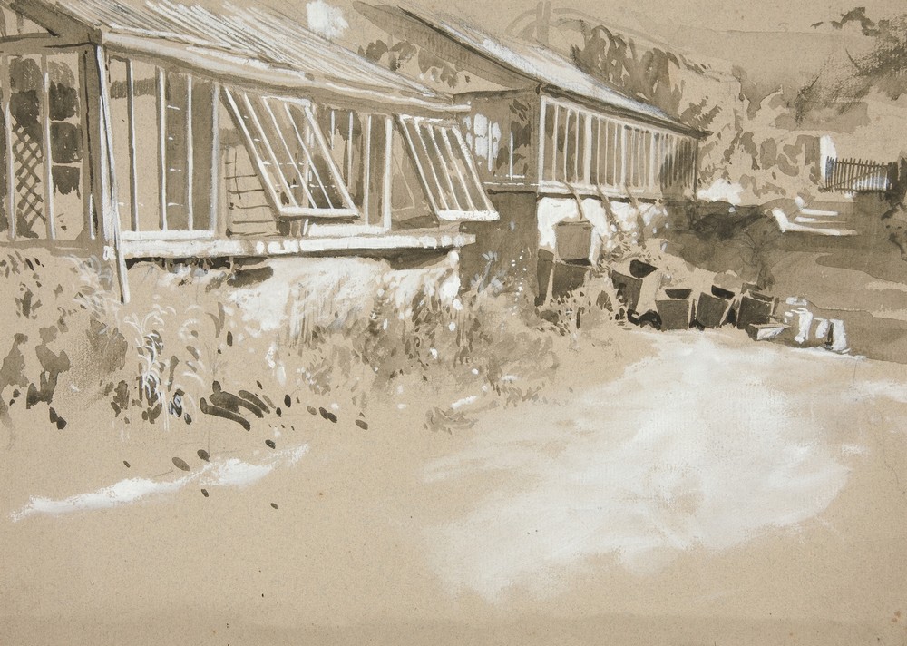 Shacks and Shrubs