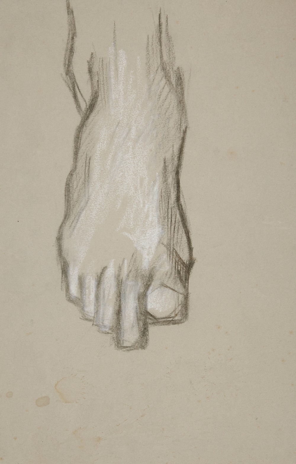 Sketch of a foot