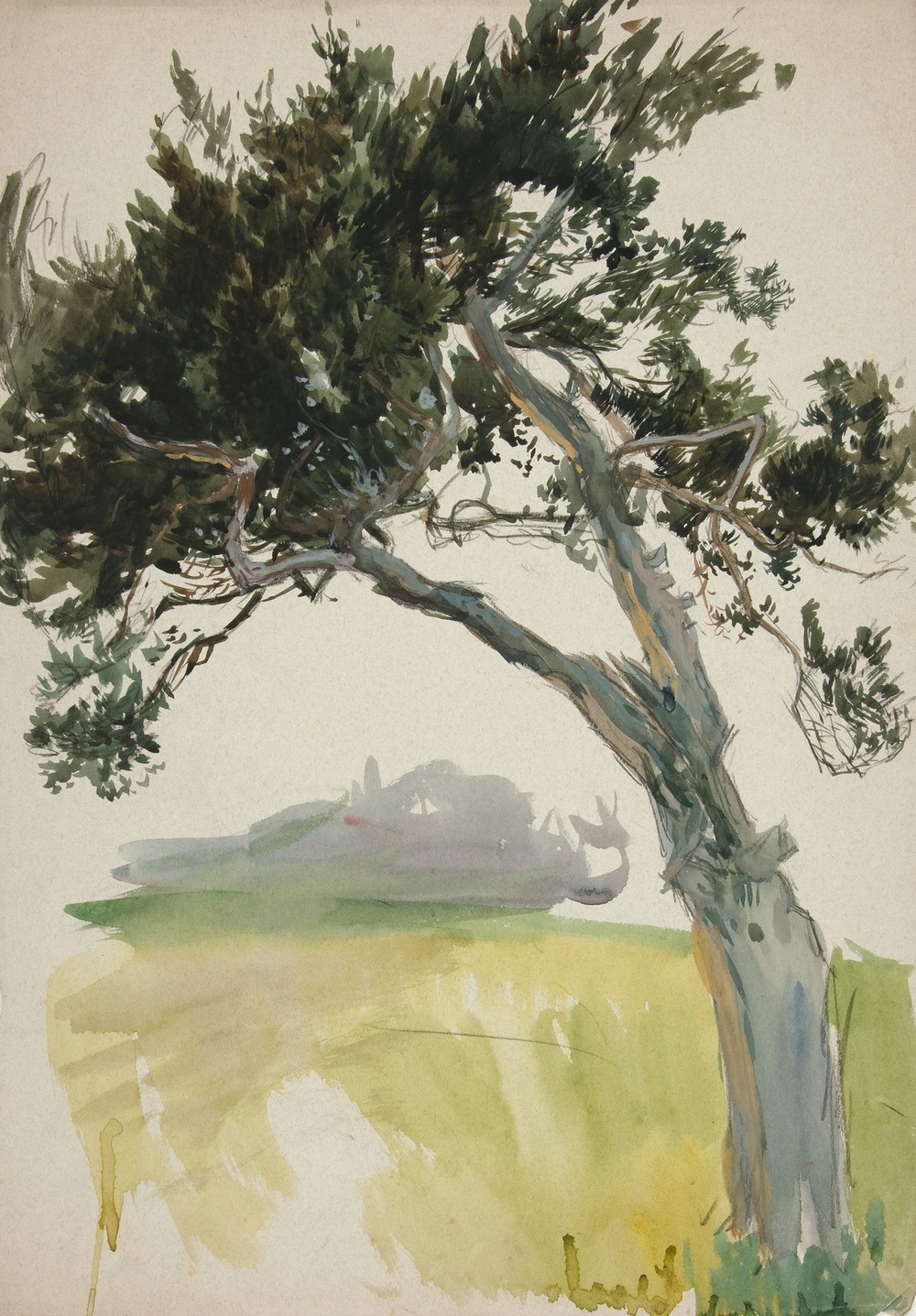 Study of a tree and field