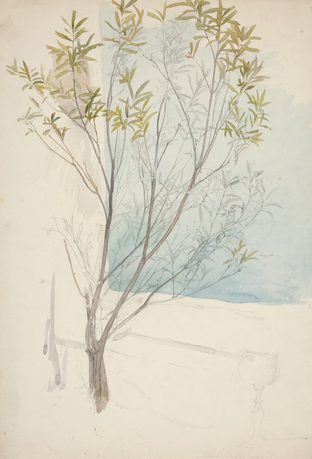 Study of a tree