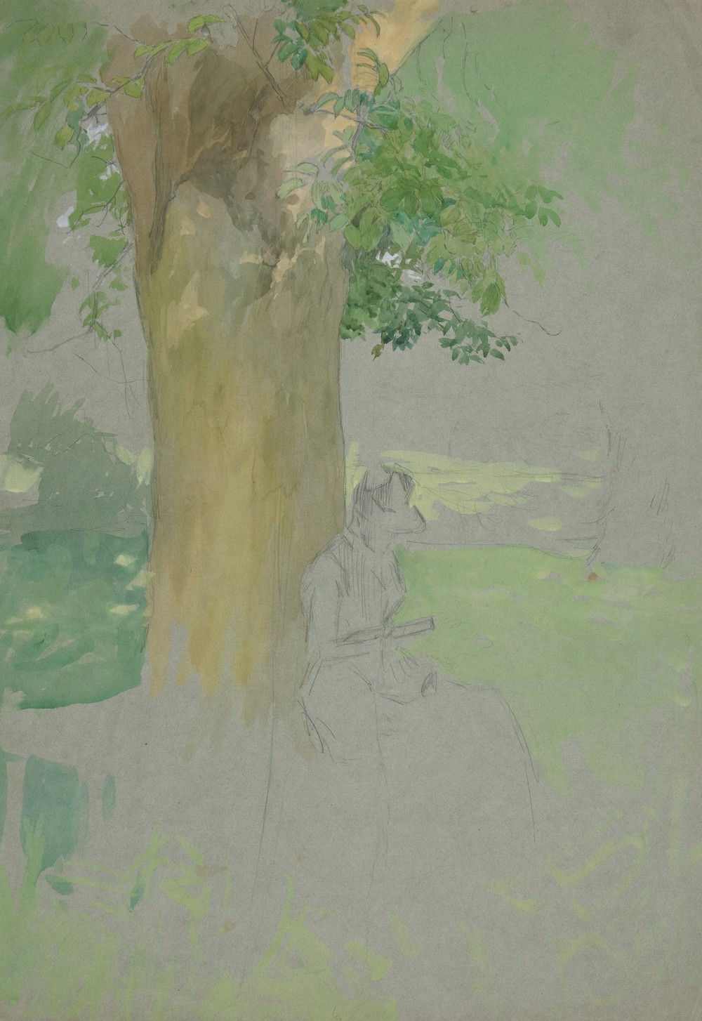 Woman seated beneath a tree, reading