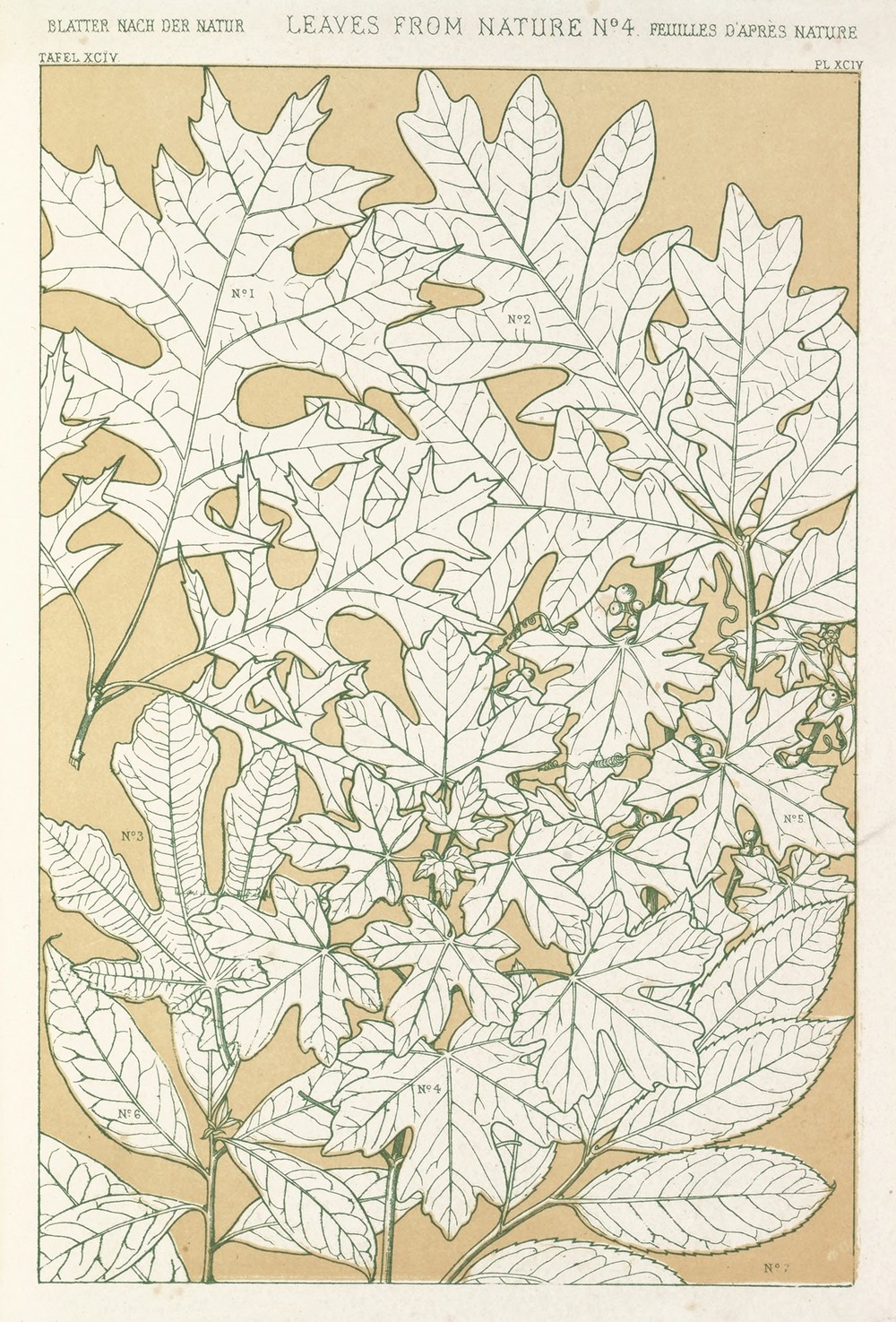 Leaves from Nature No.4