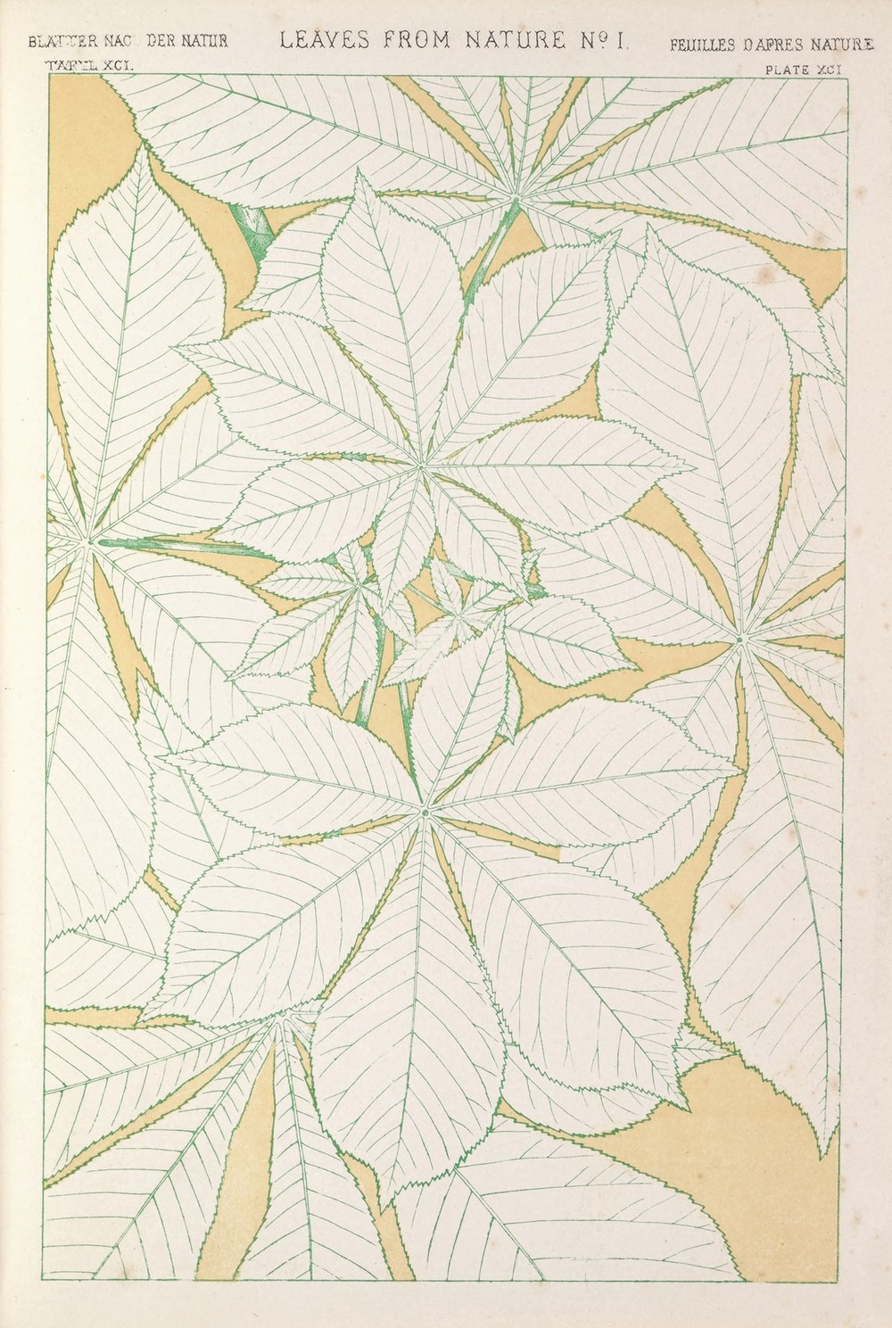 Leaves from Nature No.1