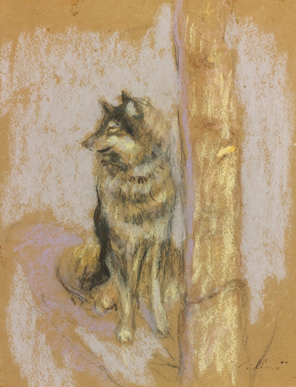 Le Chien-Loup À Gérardmer