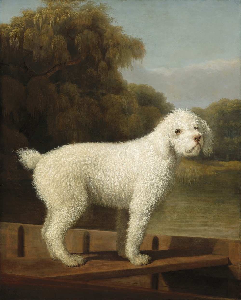 White Poodle in a Punt (c. 1780)