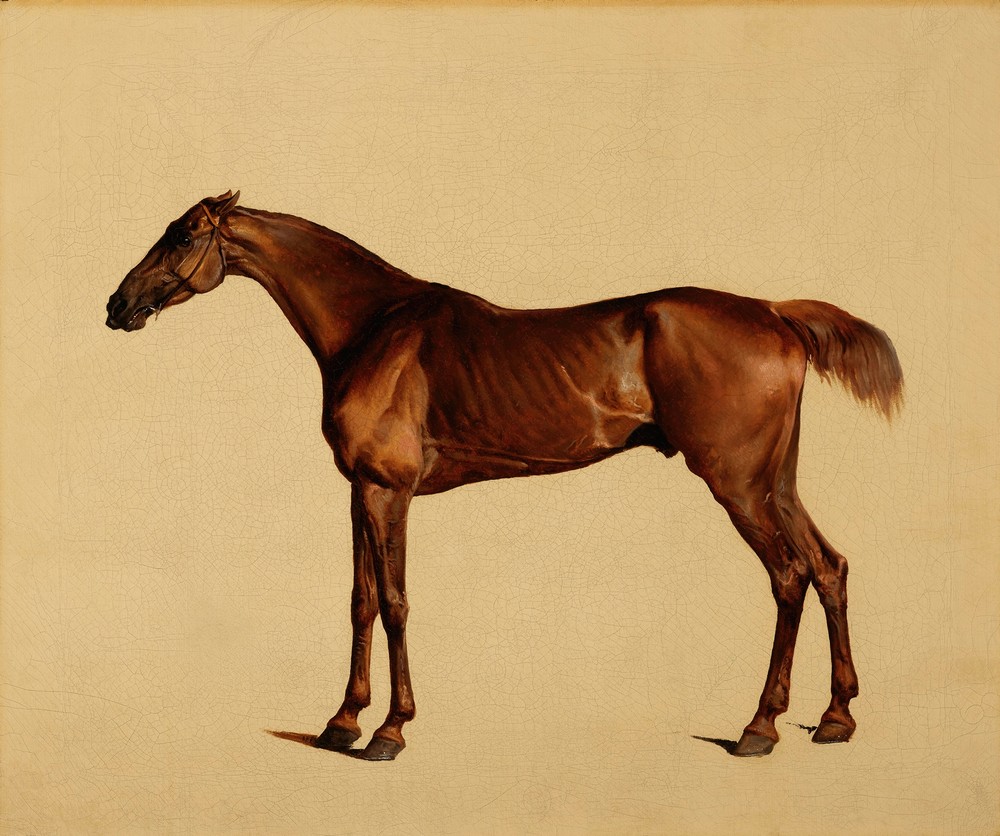Pangloss