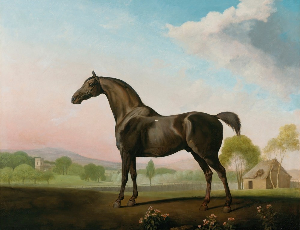 Lord Grosvenor’s Sweet William In A Landscape