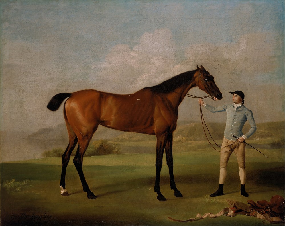 Molly Long-legs with her Jockey (between 1761 and 1762)
