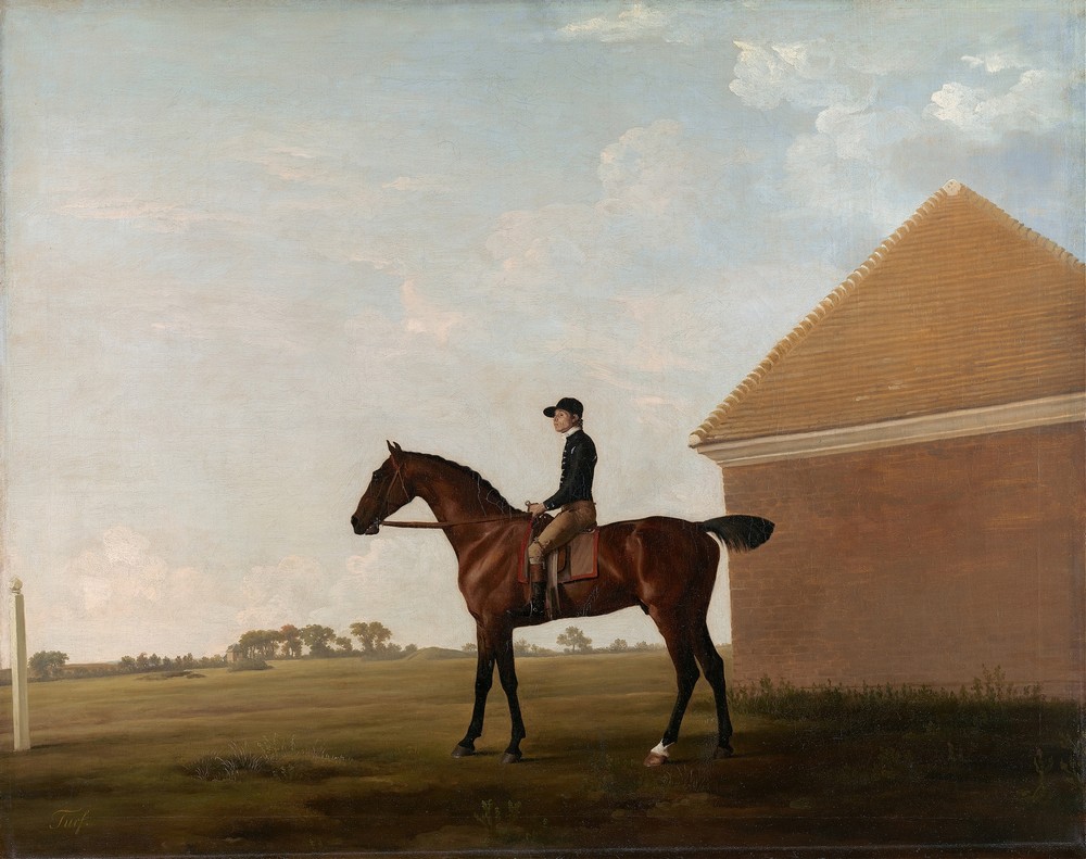Turf, with Jockey up, at Newmarket (ca. 1766)