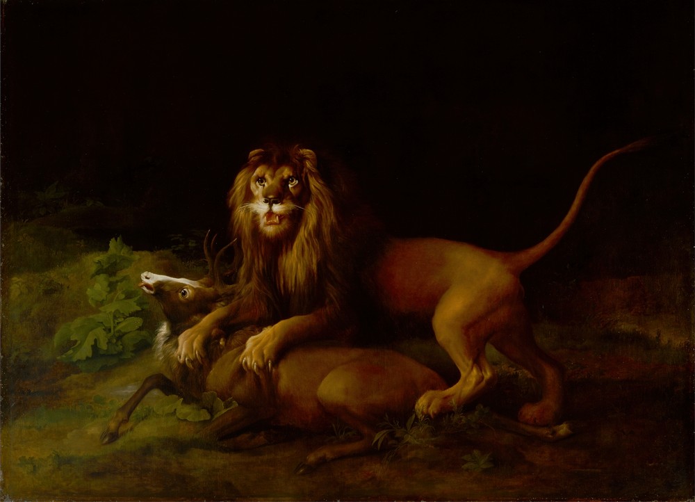 A Lion Attacking a Stag (between 1765 and 1766)