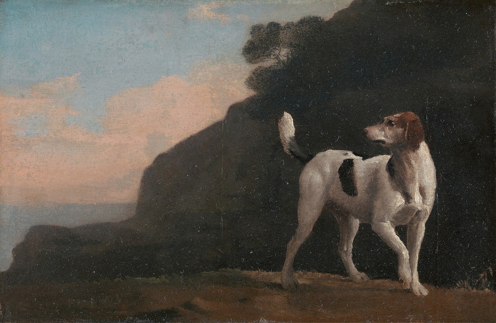 Foxhound (ca. 1760)