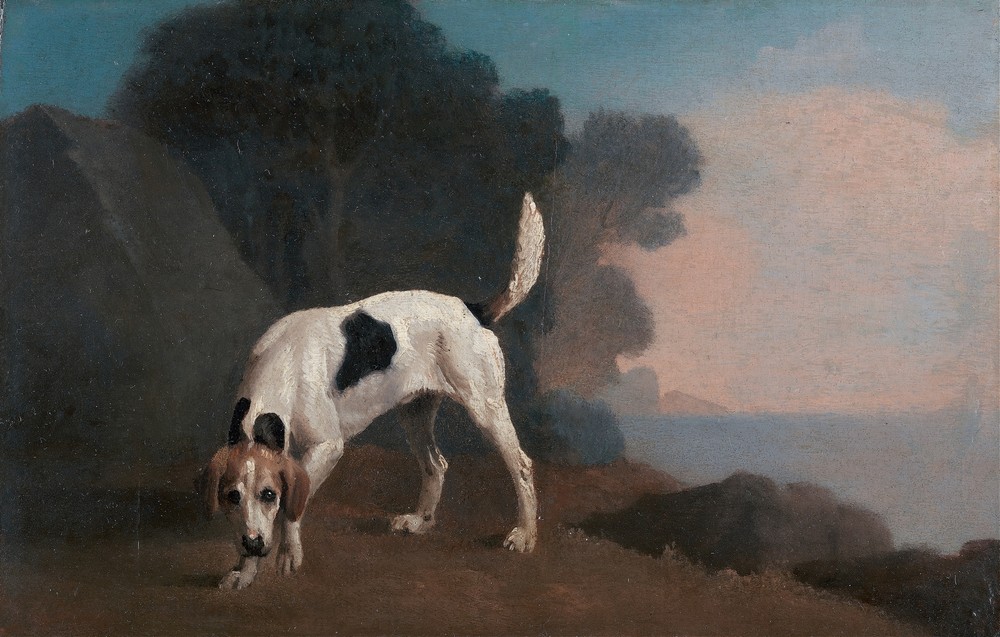 Foxhound on the Scent (ca. 1760)