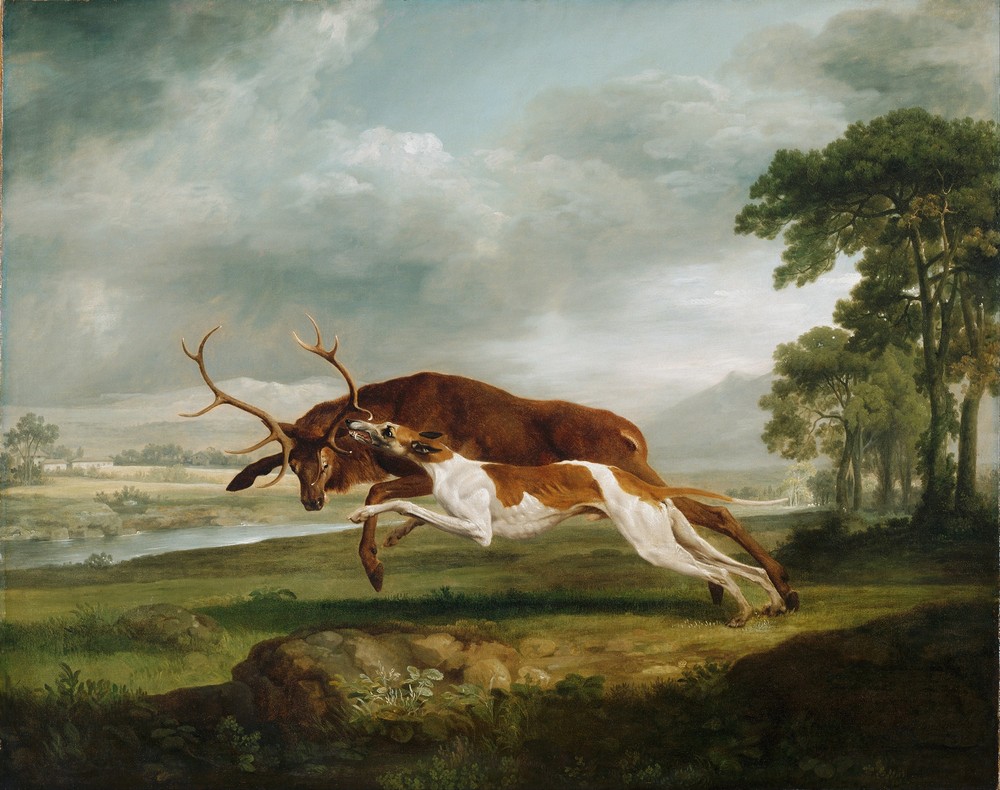 Hound Coursing a Stag (ca 1762)