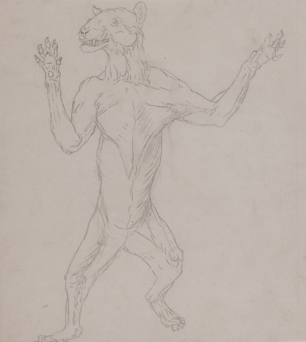 Tiger Body, Standing in Human Posture (1795 to 1806)