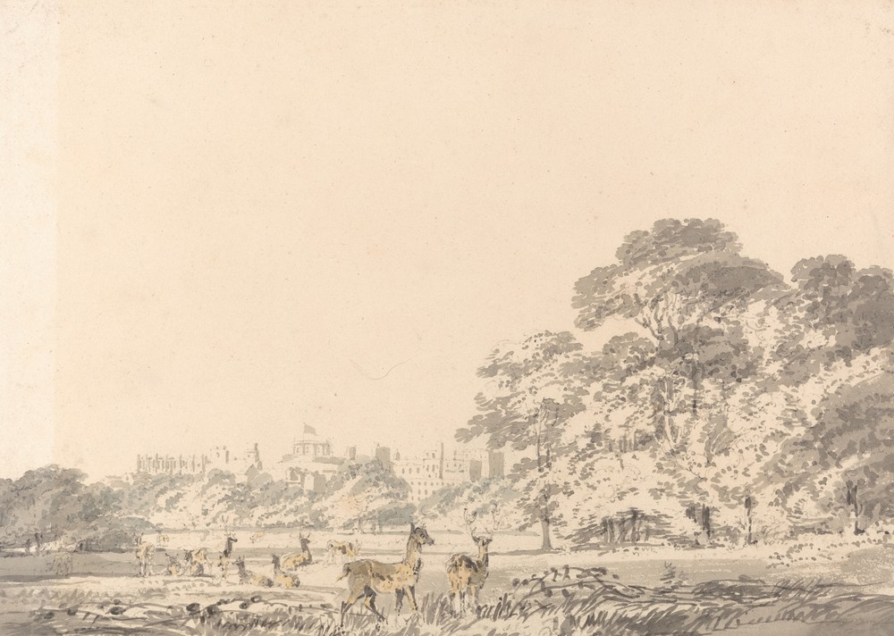 Windsor Castle and Park with Deer