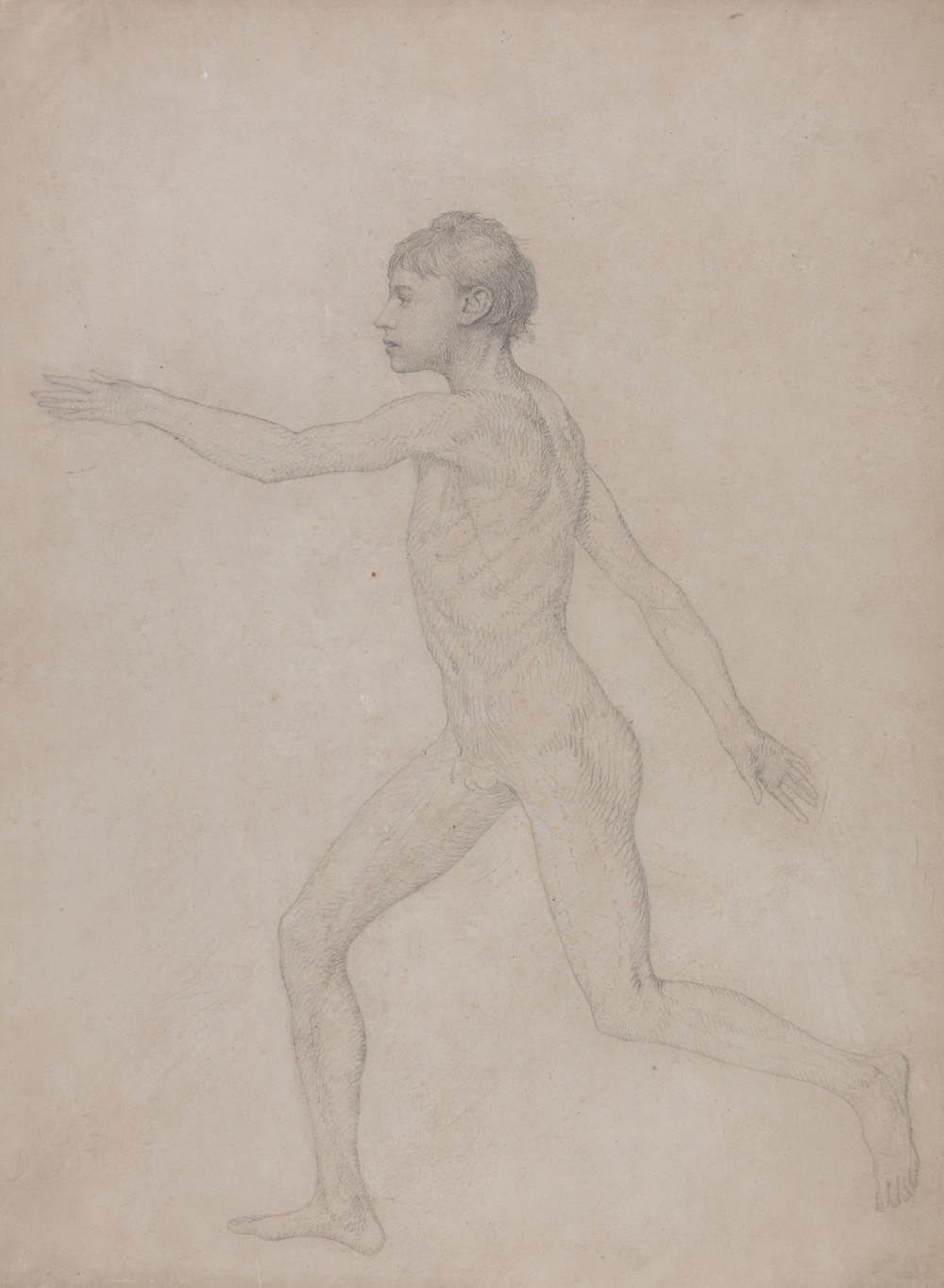 Human Figure, Lateral View (1795 to 1806)