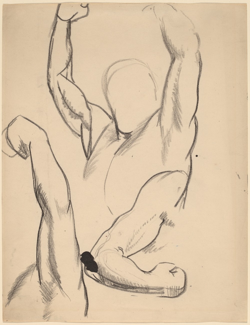 Arms of a Boxer