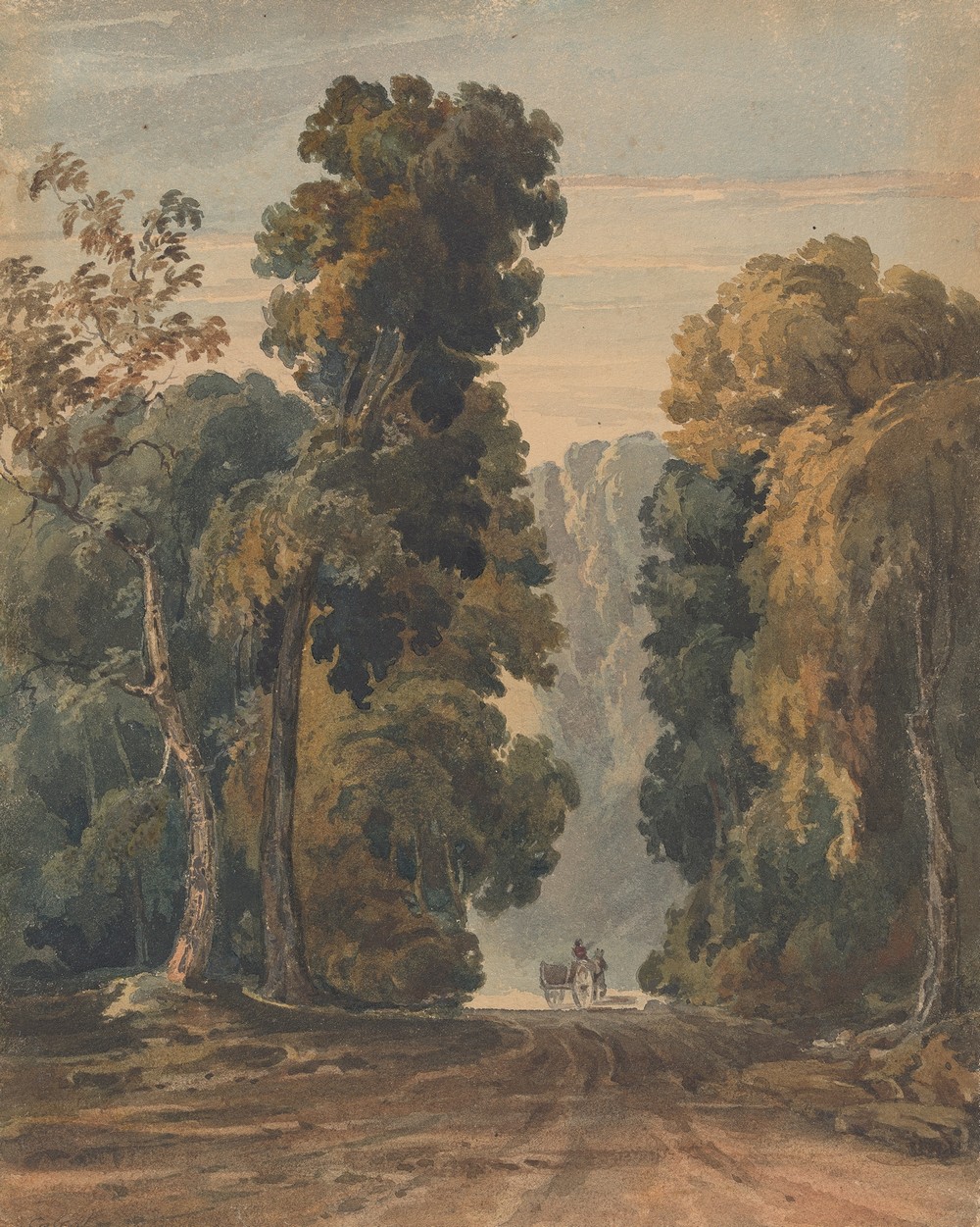 Horse, Cart and Driver on Wide, Tree-lined Lane