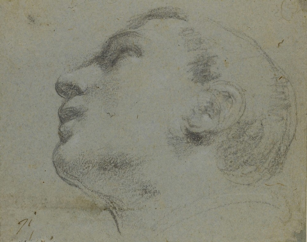 The head of a man turned to the left