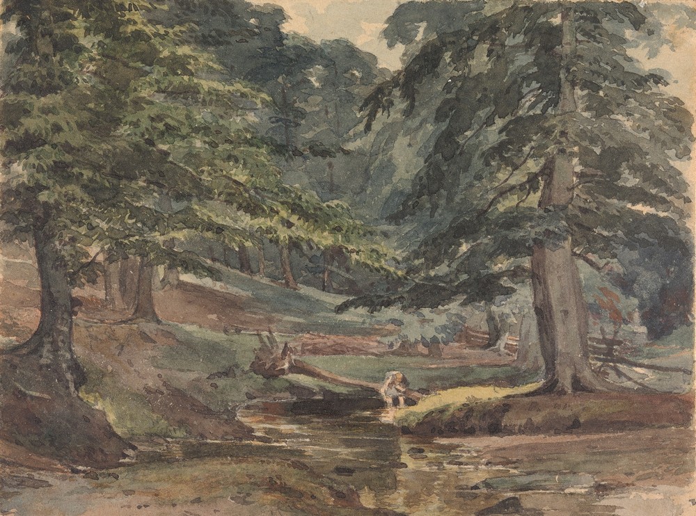 Wooded River Scene