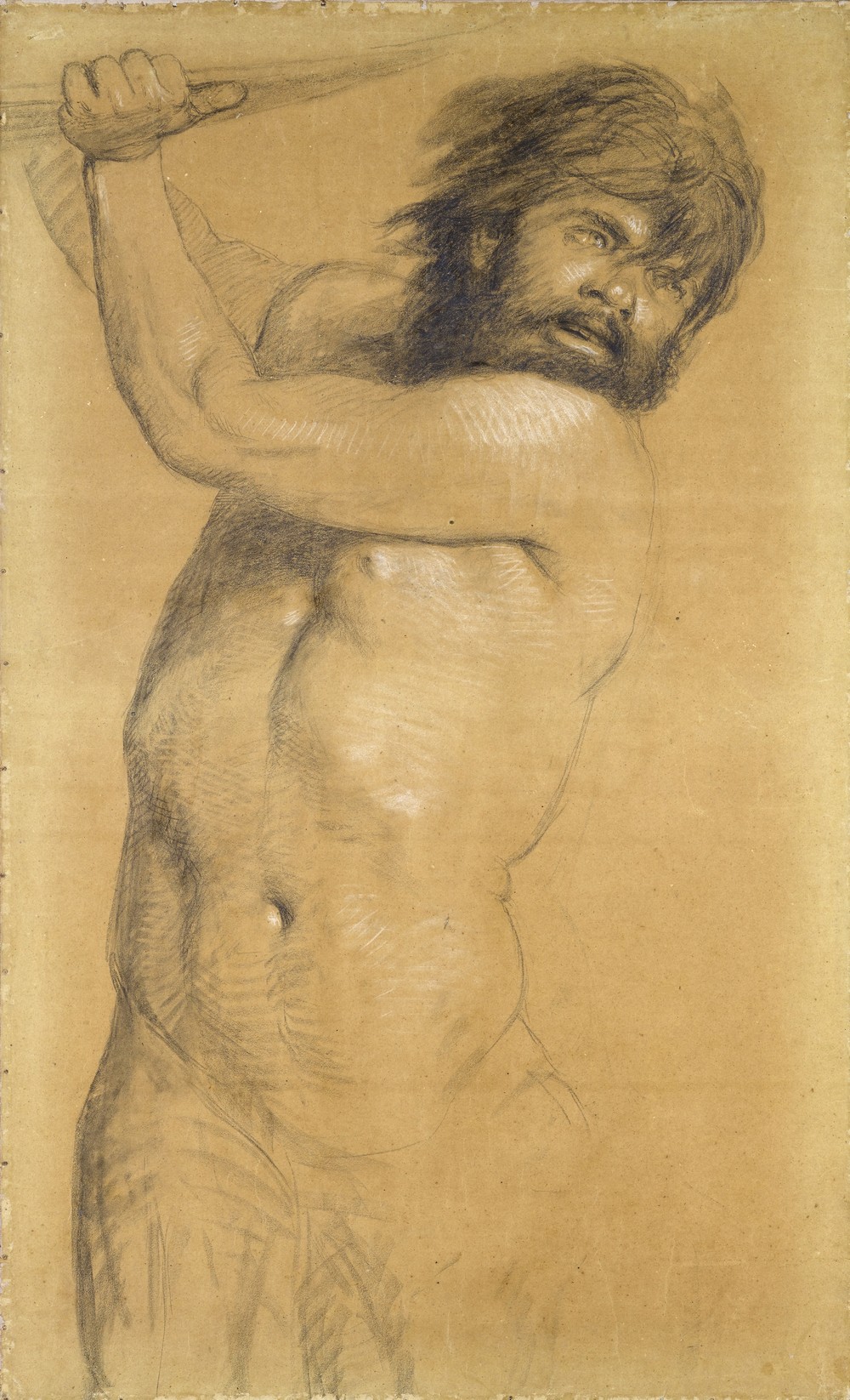Triton