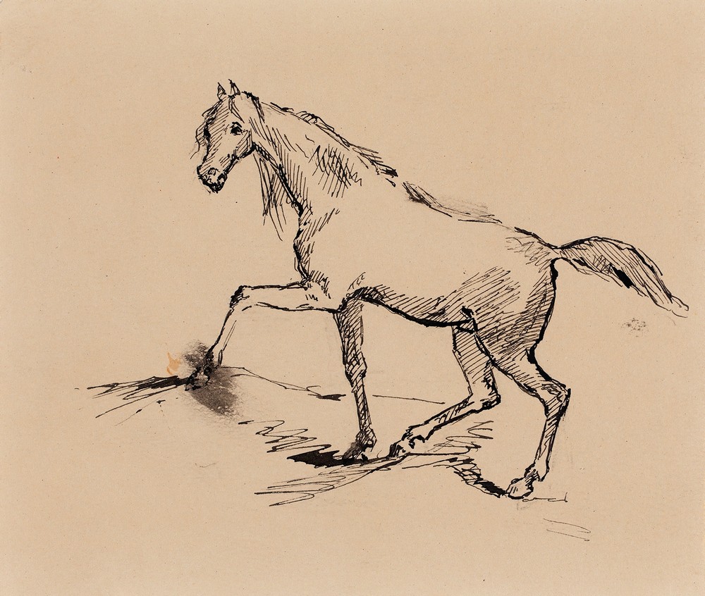 Hevonen, luonnos