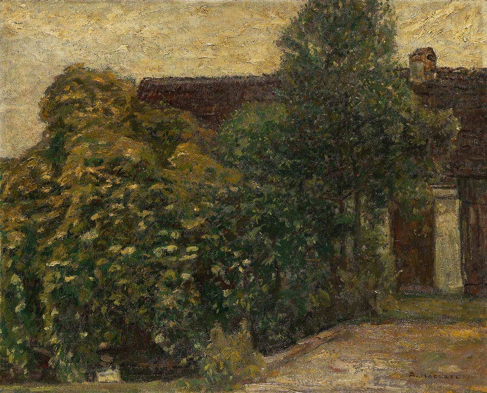 Bäume vor dem Haus