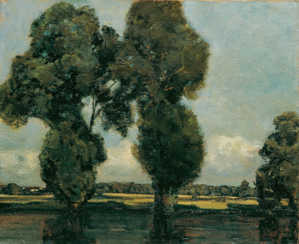 Silberpappeln
