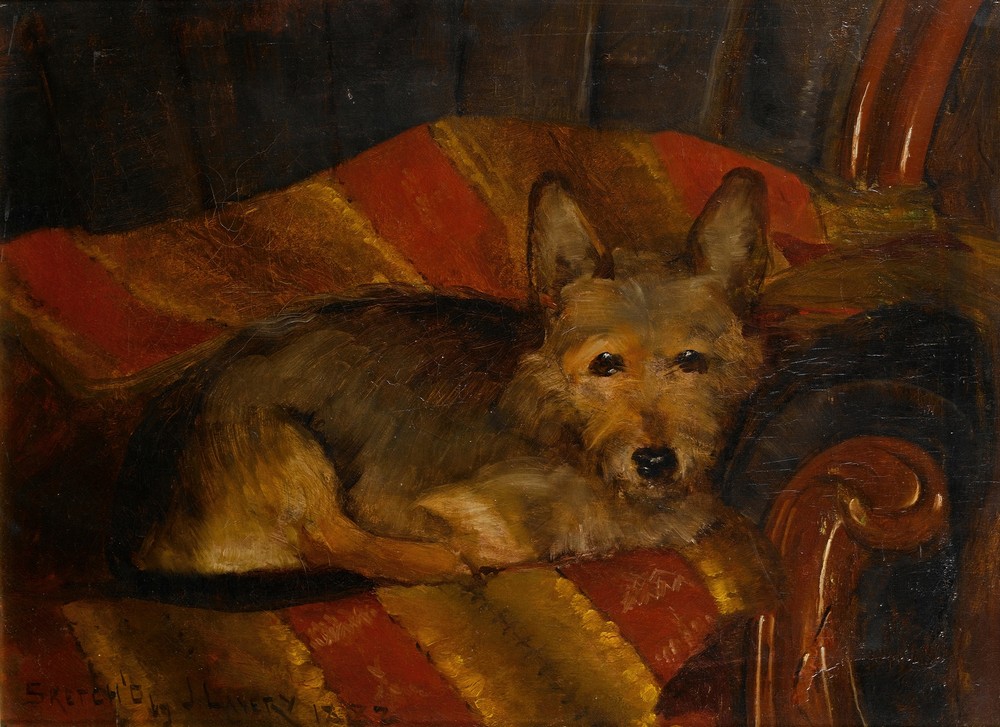 Dog on a chair
