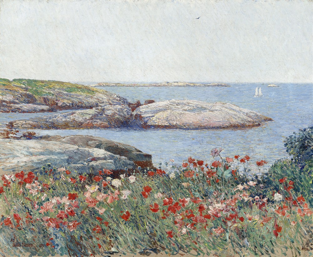 Poppies,Isles of Shoals