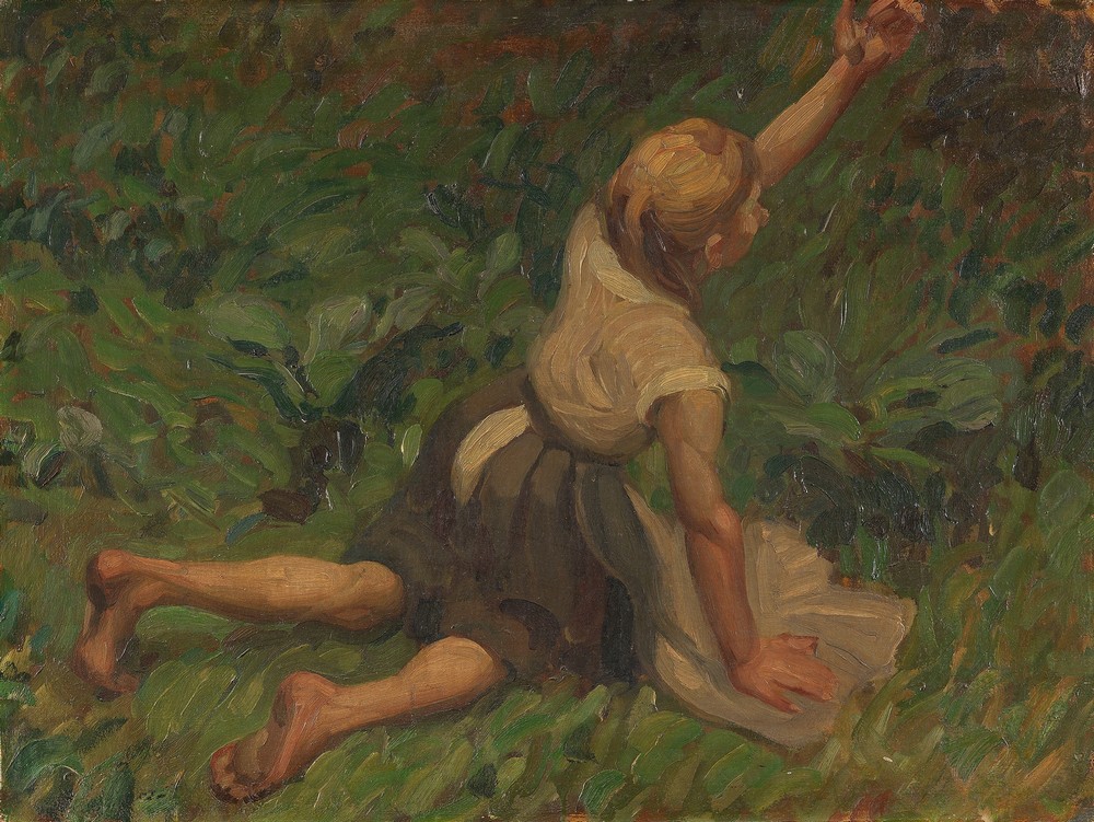 Studie zu Aschenbrödel