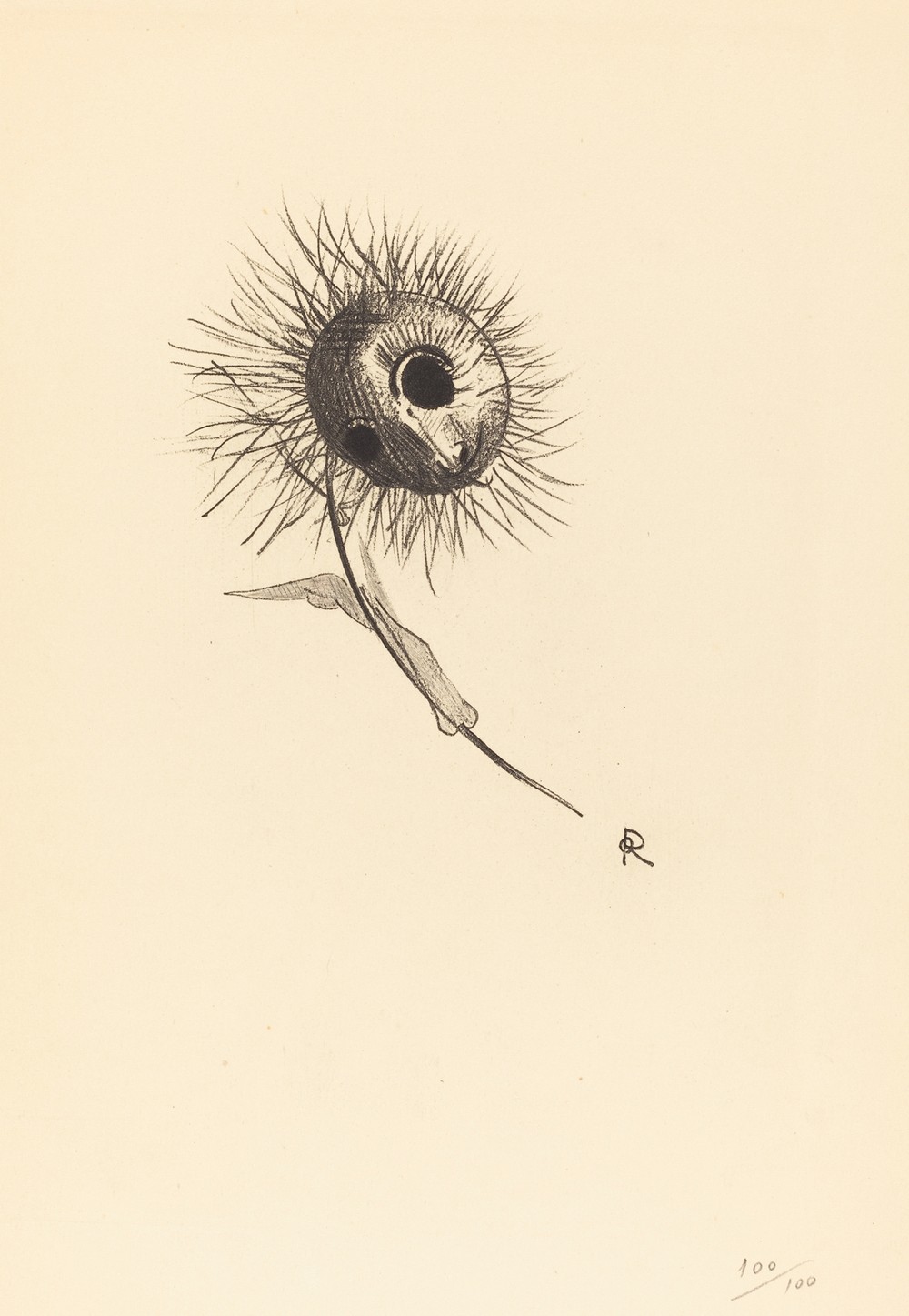 Cul-de-Lampe