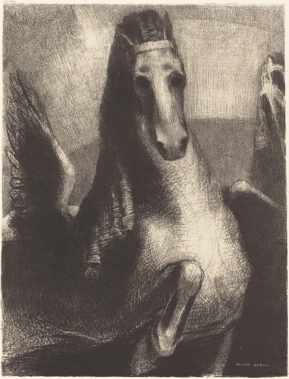 L’Aile (The Wing)
