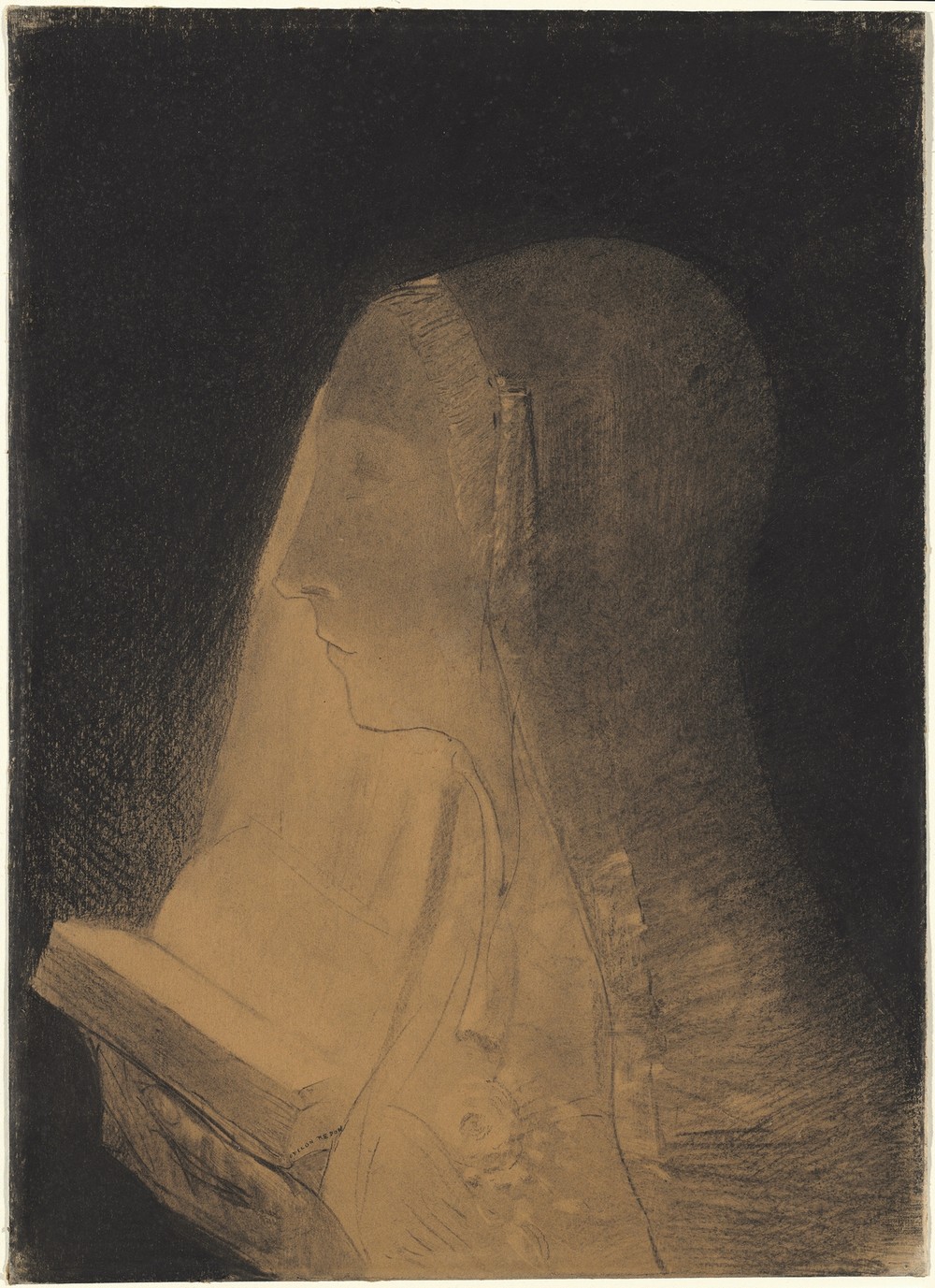 The Book of Light