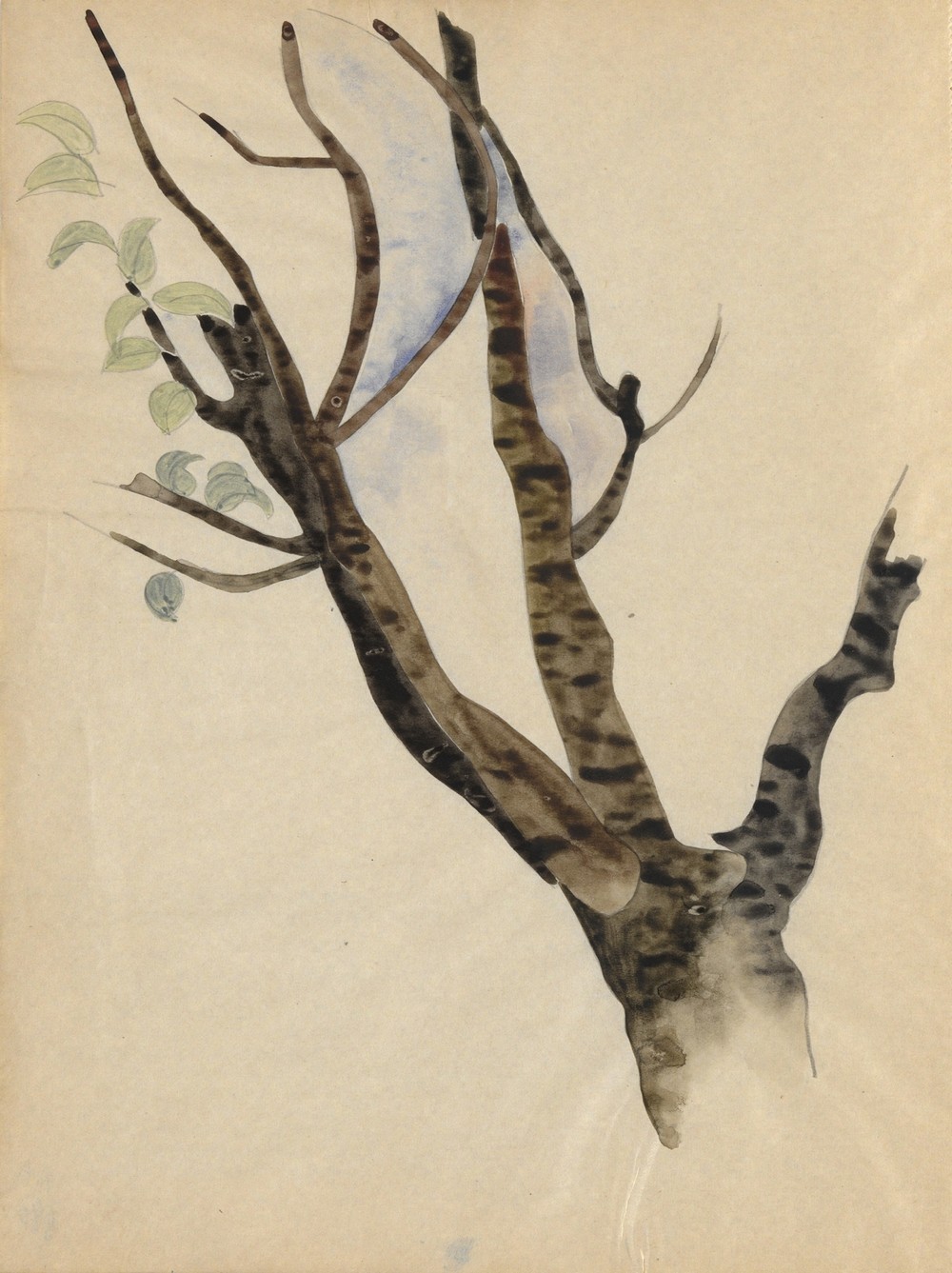 Sketchbook; 36 pages total, containing 28 sketches (including studies for Demuth’s poster portraits) (ca. 1921–35)