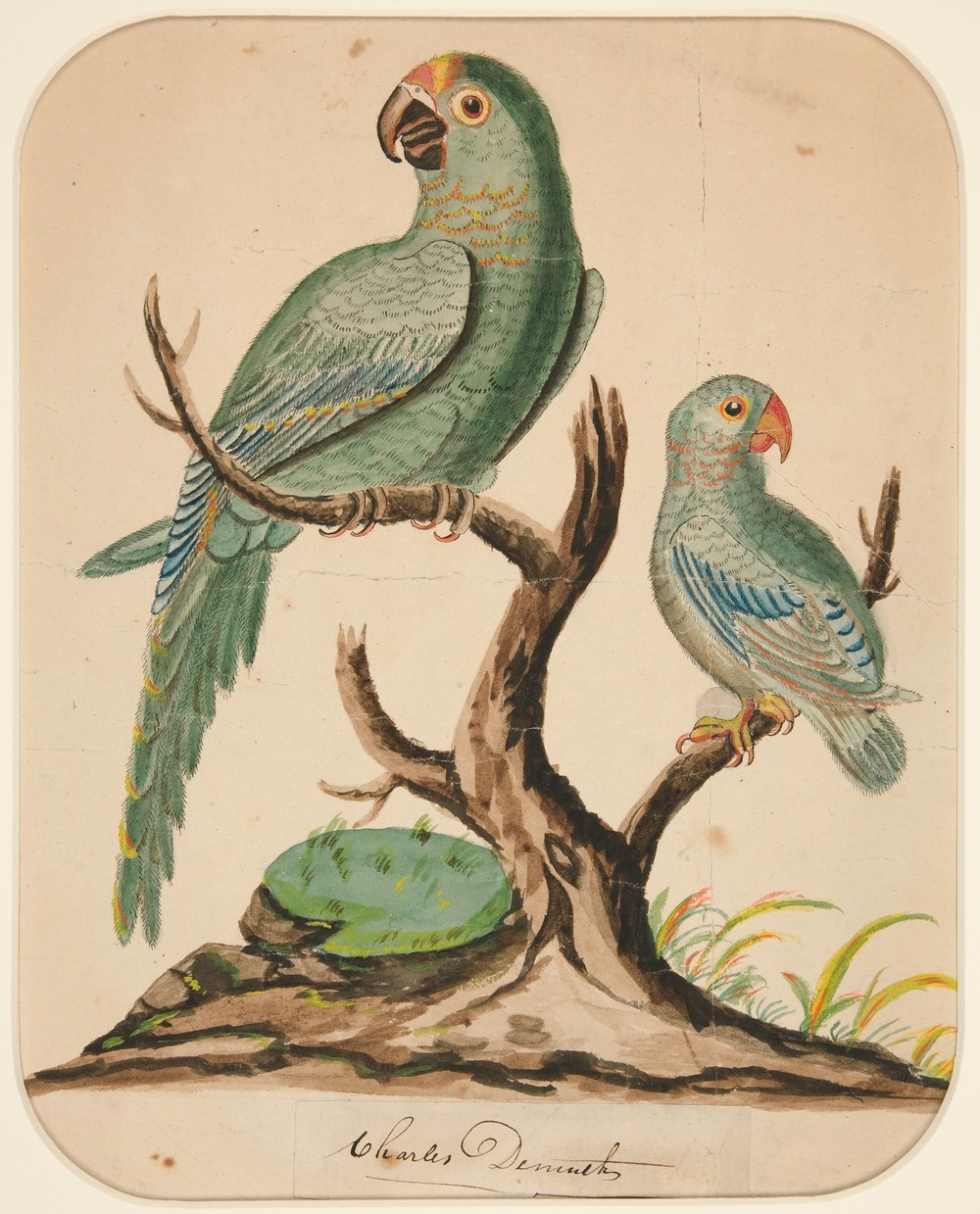 Two Parrots on a Barren Tree (ca. 1916)
