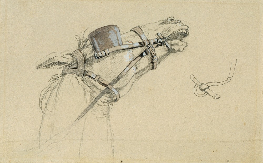 Studie eines Pferdekopfes zu ‘Rückkehr des Kaisers Franz aus Pressburg’ (before 1828)