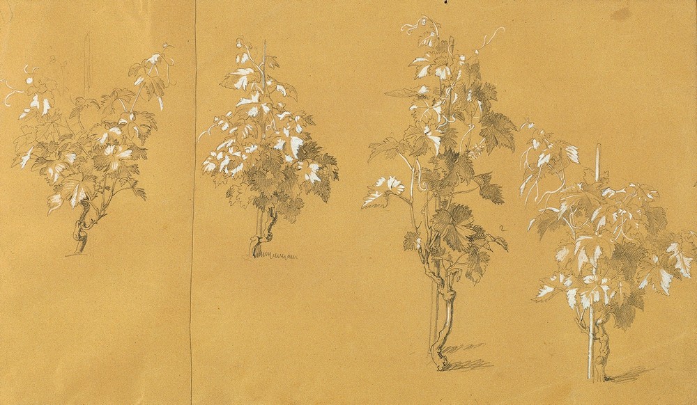 Weinstock, Studie zu ‘Hermann und Dorothea im Weinberg’ (before 1840)
