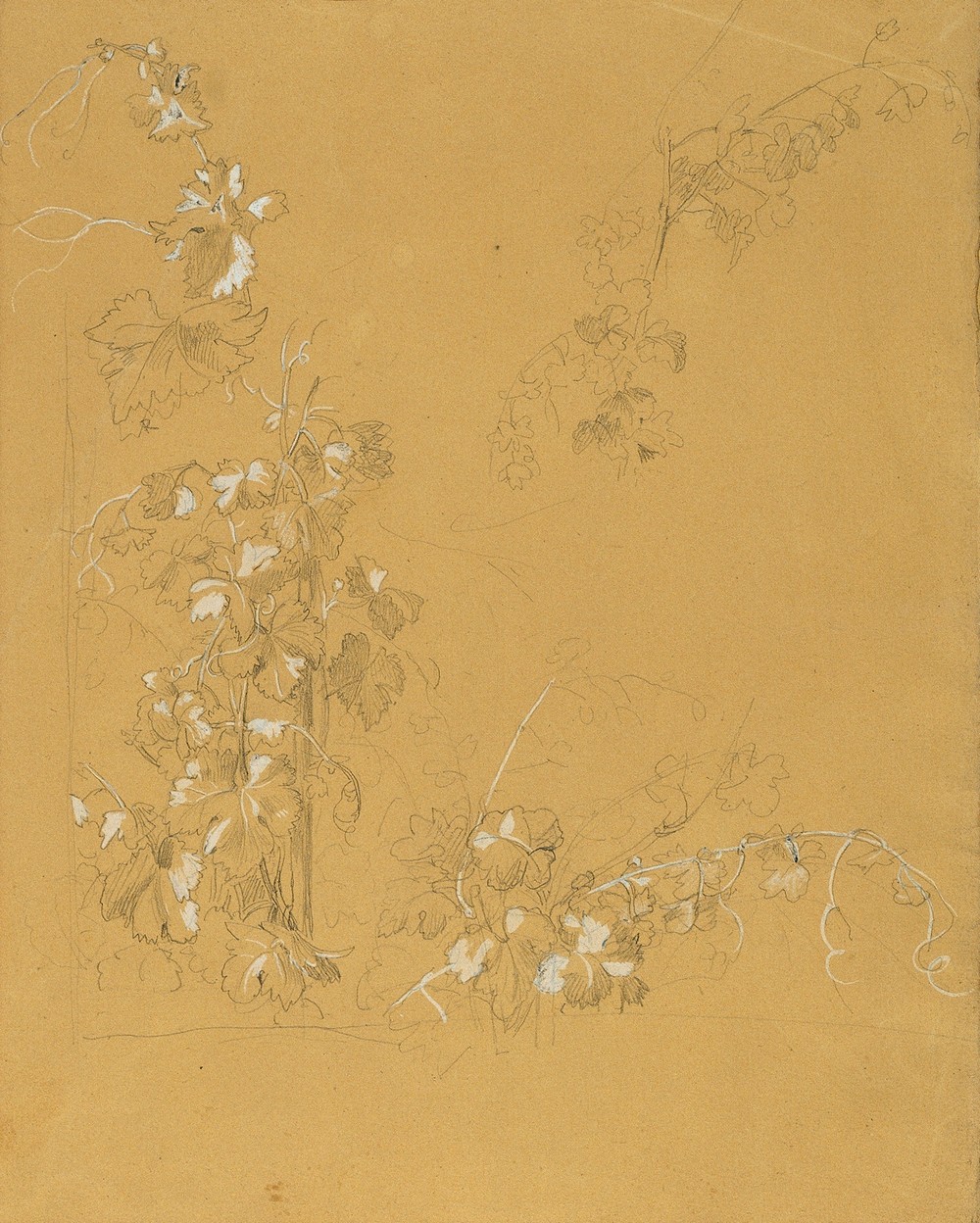 Weinstock, Studie zu ‘Hermann und Dorothea im Weinberg’ (before 1840)