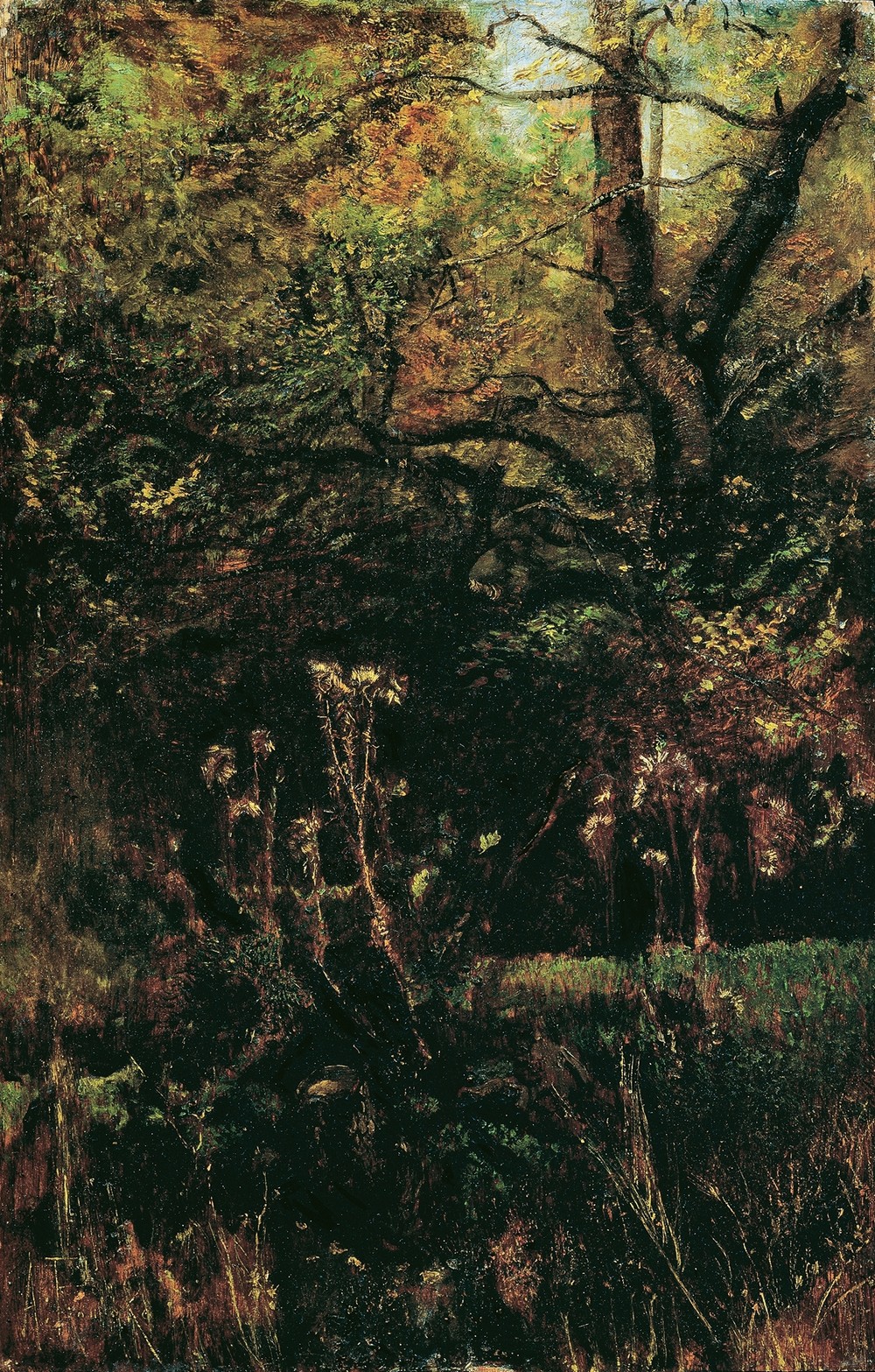 Waldlichtung mit Disteln