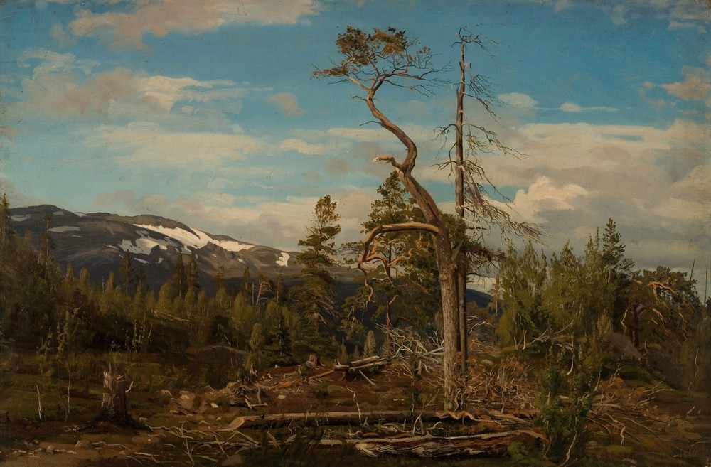 Øverst i Setesdal