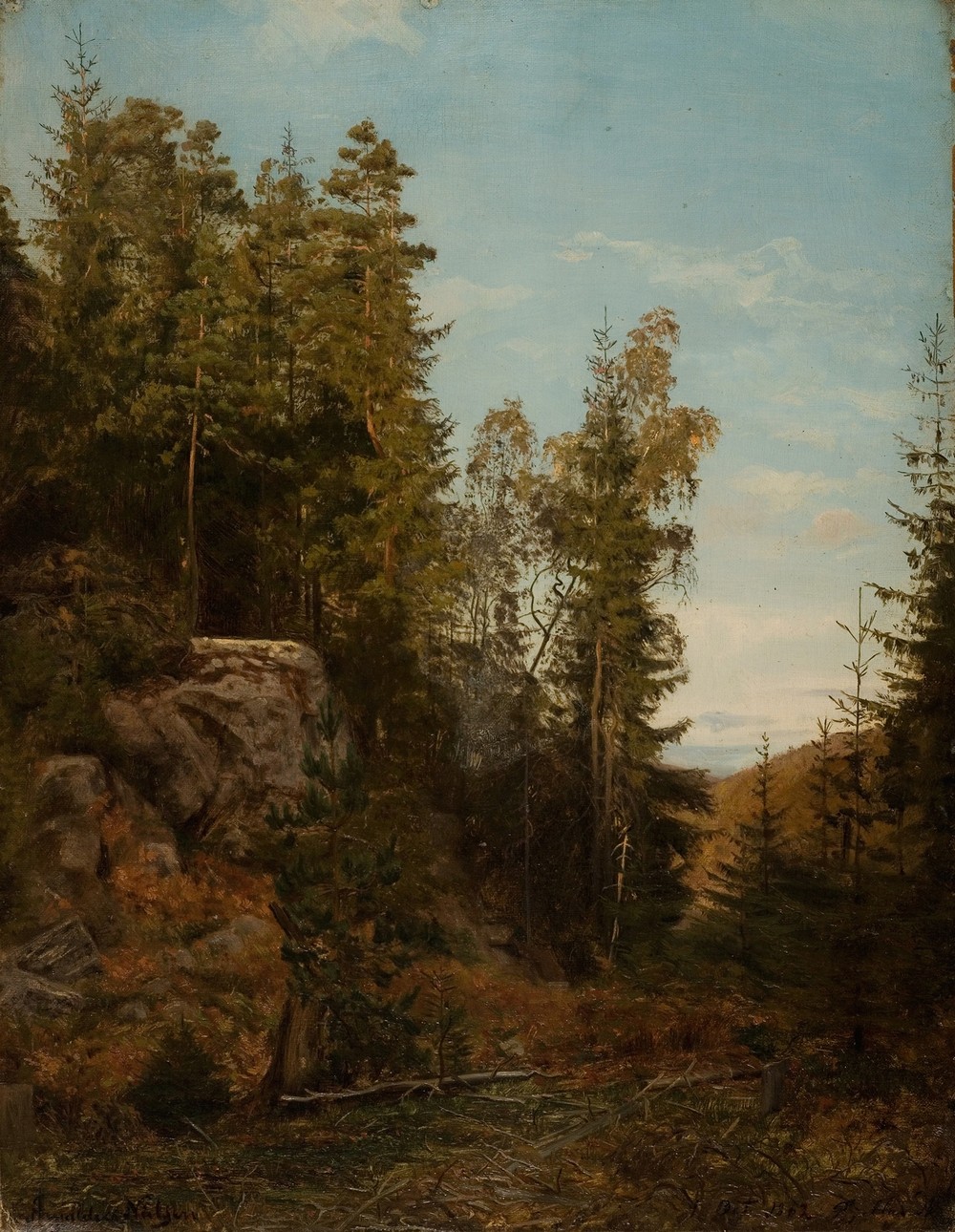 Skoginteriør. Bjelland, Mandal