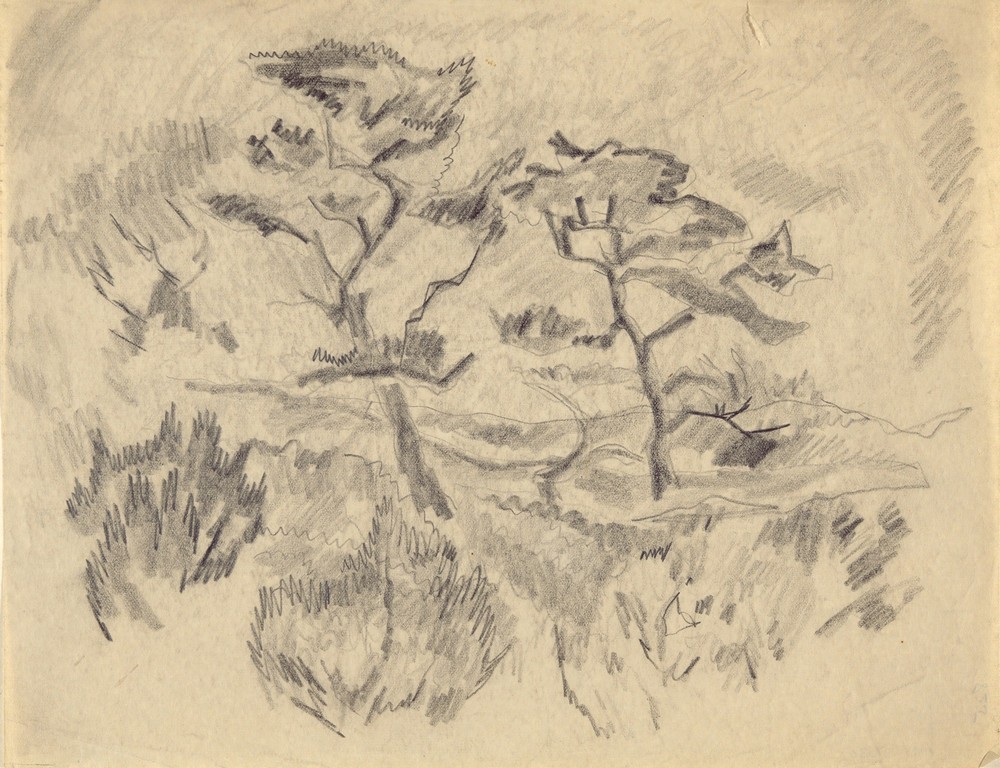 Landscape (Bermuda or Provincetown)