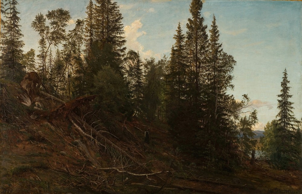 Vingeråsheia, Telemark