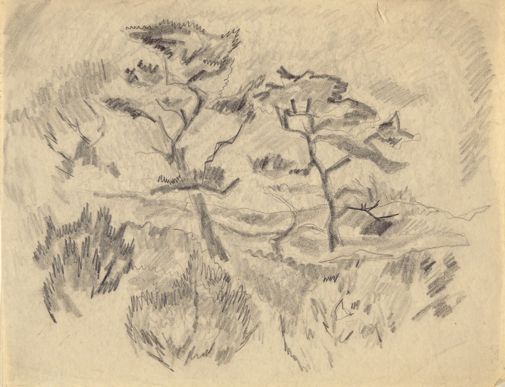 Landscape (Bermuda or Provincetown) (ca. 1917)