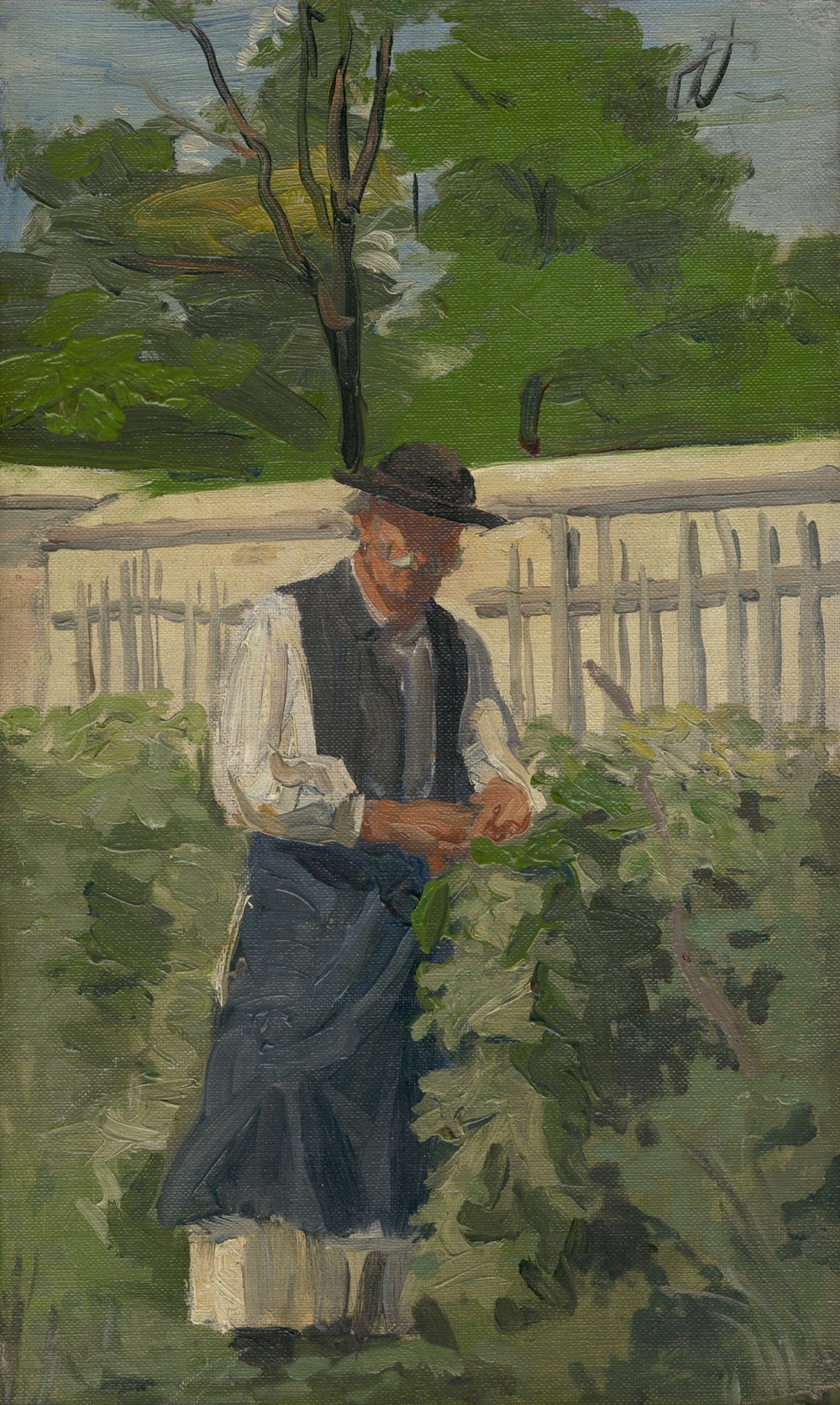 By the Grapevines