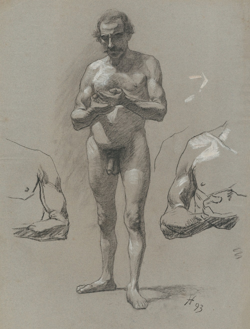Study of a standing male nude