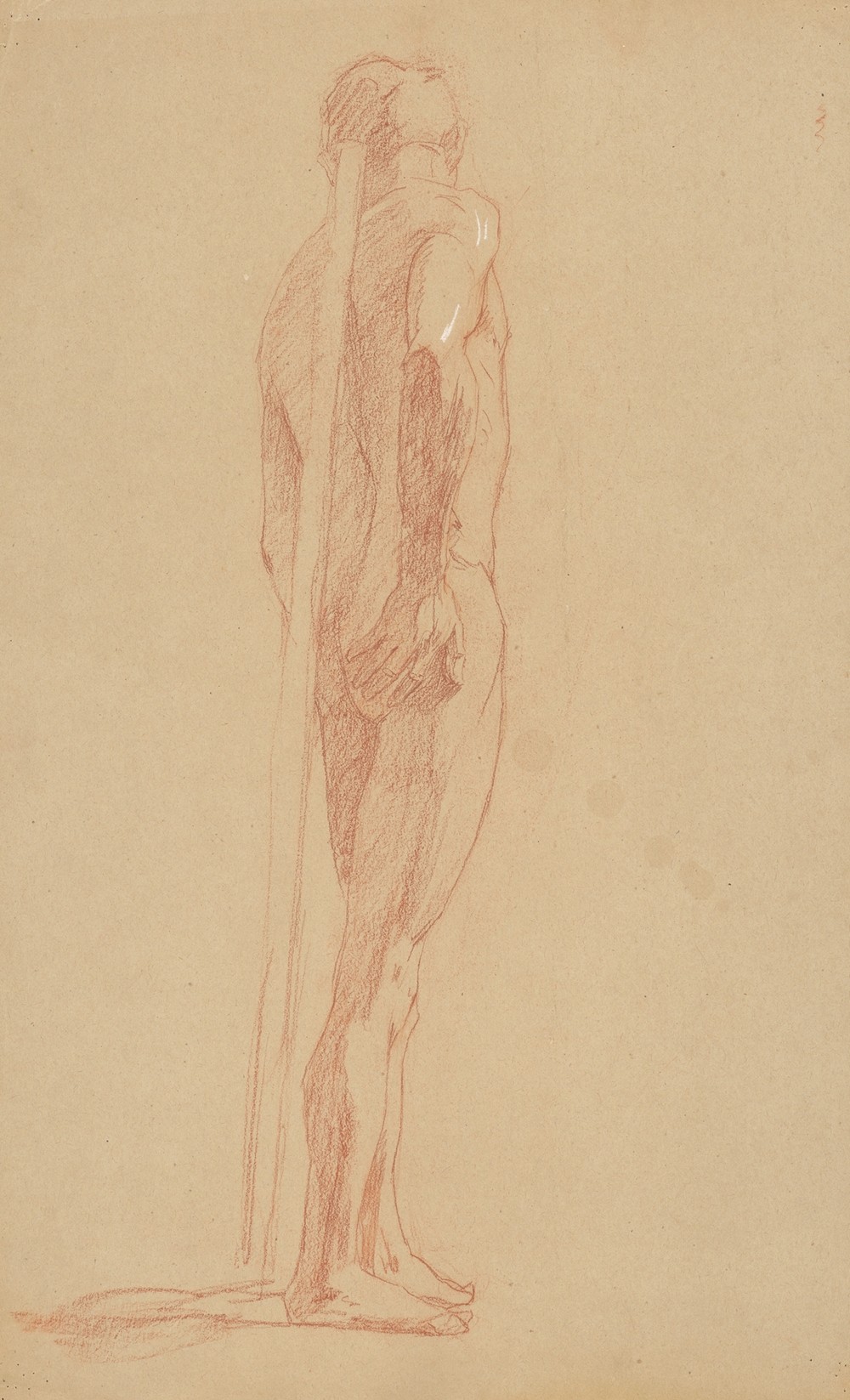 Study of the male nude