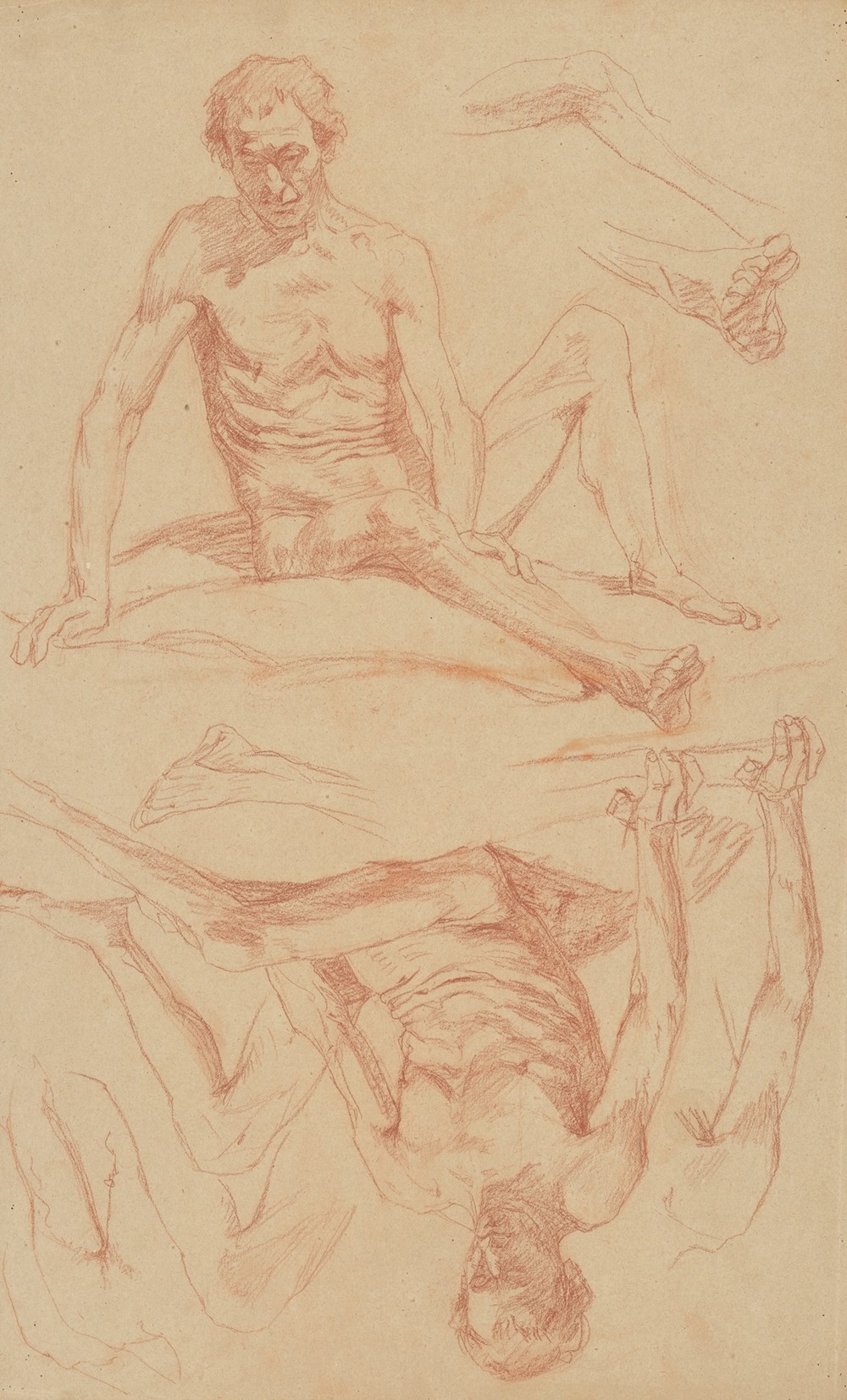 Study of the male nude